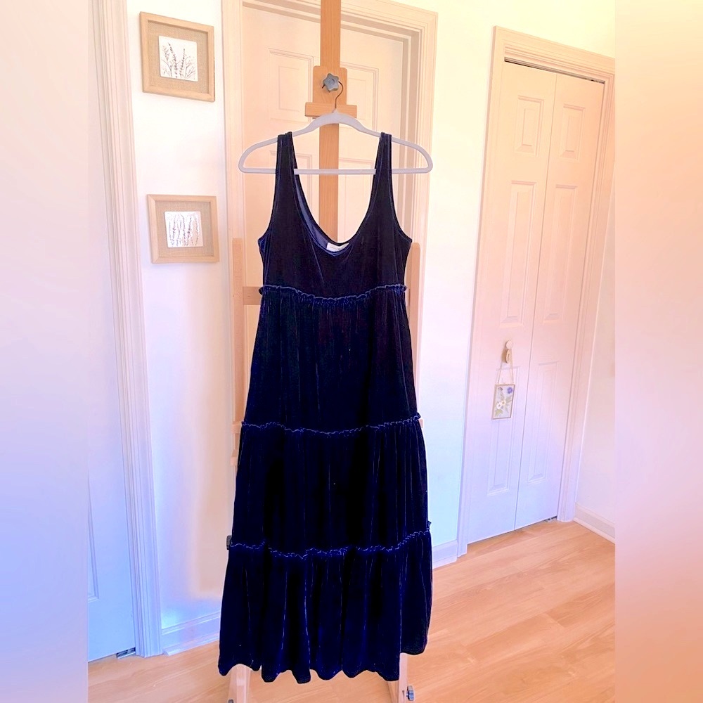 Natural Life Blue Velvet Dress